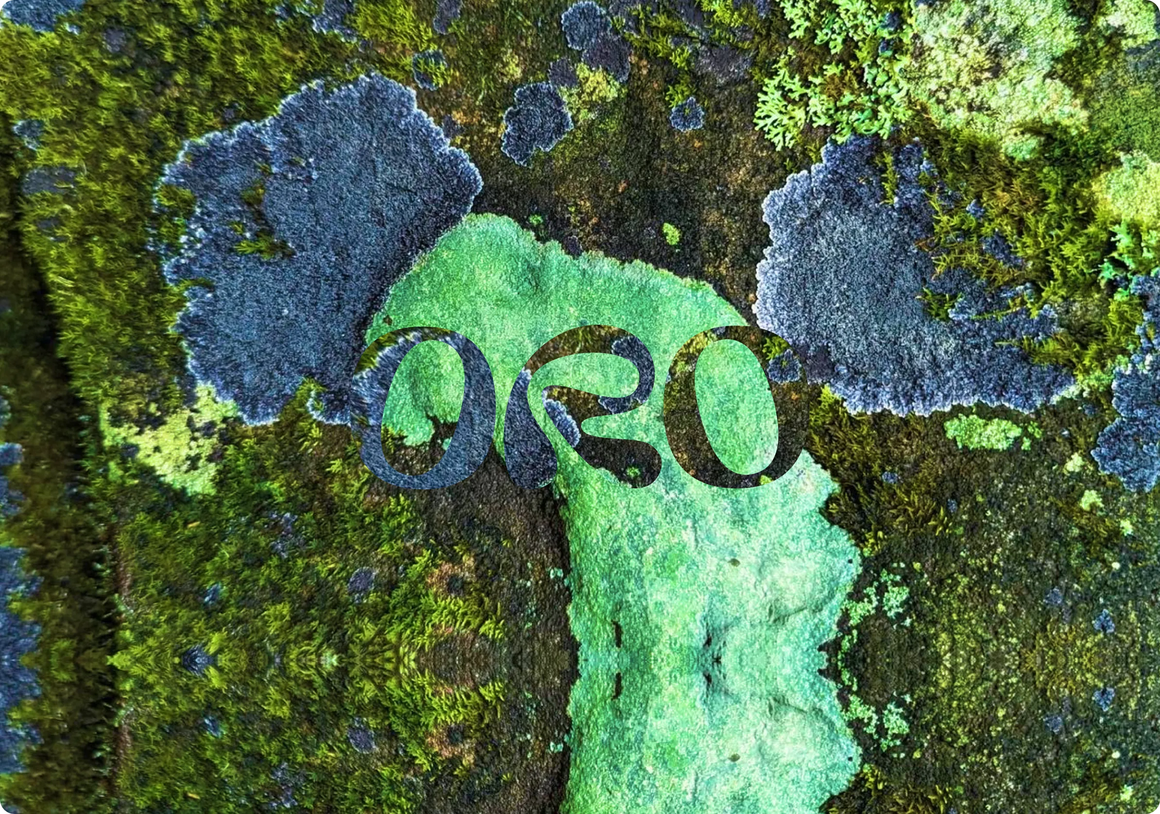 ORO Moss Typography Logo Header